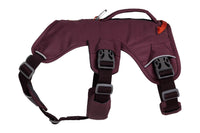 Ruffwear Web Master Harness - Final Sale*